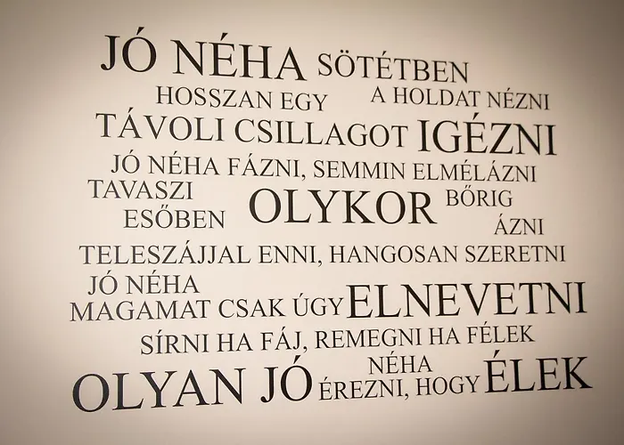 Loli * 米什科尔茨